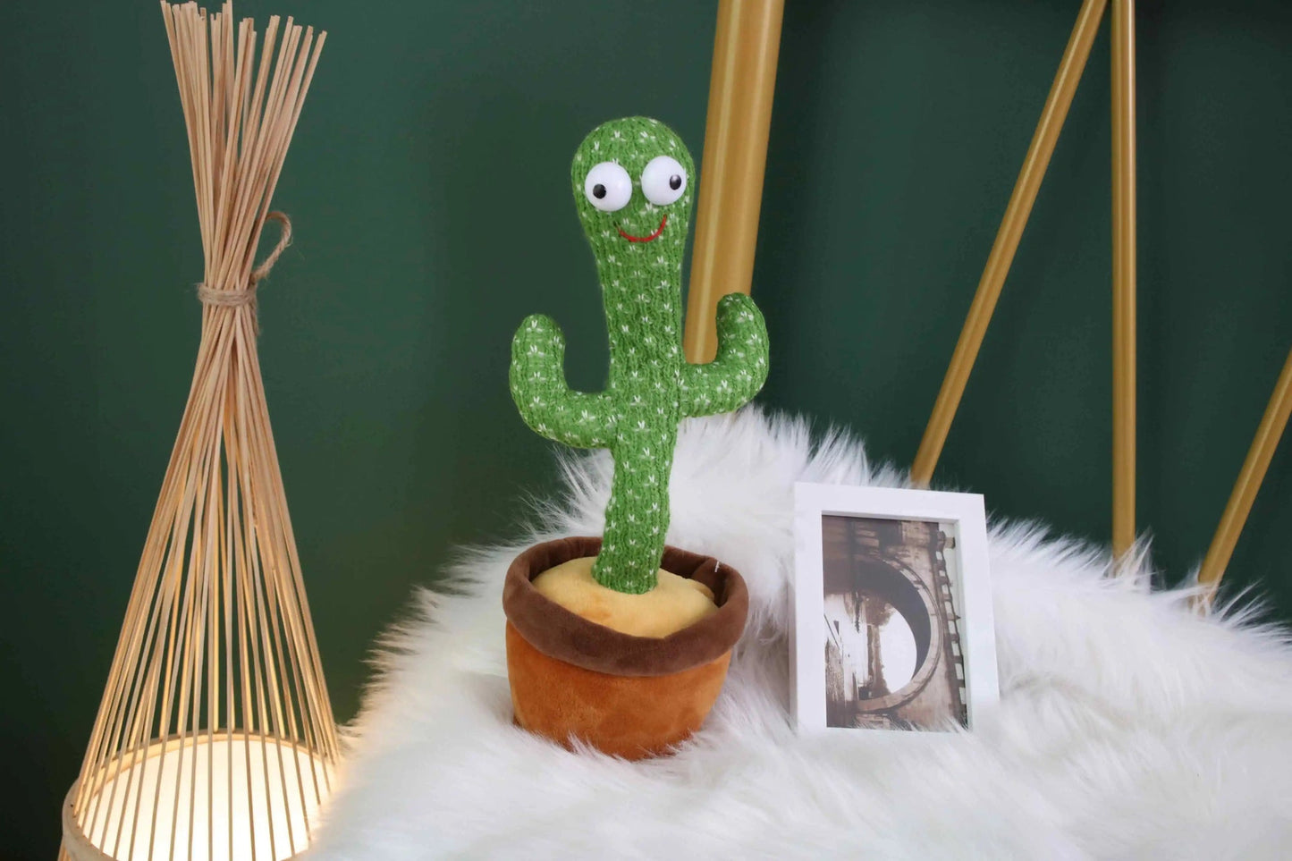 Cactus Danseur || Perroquet Chanteur